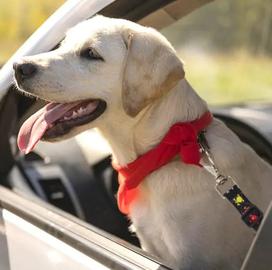 Adjustable Pet Car Seat Belt